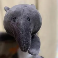 Item thumbnail for item 87c285cd-e35a-45d4-873d-8b684bcbb700