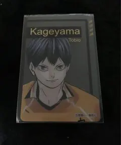 ハイキュー 影山飛雄