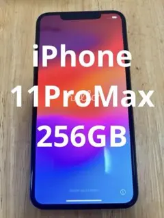 m*i様 Apple iPhone 11ProMax 本体　スマホ　スペースグレ