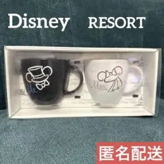 東京ディズニーリゾート ミッキー・ミニー ペアマグカップ