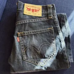 Levi Strauss & Co. 503 ストレートデニム W29 L32