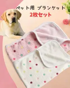 ペット用 ブランケット 水玉 2枚セット 厚手 犬 猫 毛布 ふわふわ 冬丸洗い