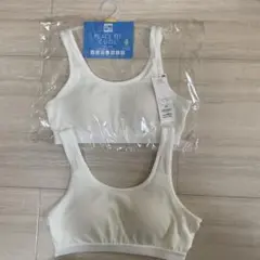 Item thumbnail for item 0dbb7a9b-24da-4e70-8b58-dc624c093a64