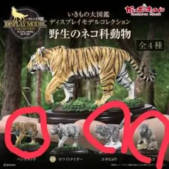 いきもの大図鑑ディスプレイモデルコレクション　ネコ科動物　3種セットのサムネイル