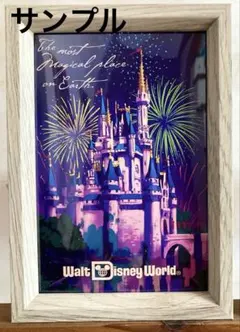 2026年最新】シンデレラ城 WDWの人気アイテム - メルカリ