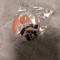 日向翔陽 缶バッジ くら寿司 ビッくらポン