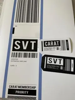 SEVENTEEN メンシプキット　フォトブック