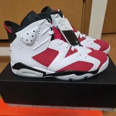 AIR JORDAN6レトロ