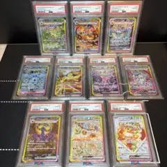 テラスタルフェス　psa10sa 連番　ブラッキー　イーブイ