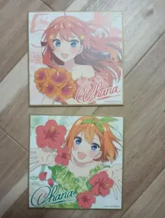 五等分の花嫁 入場者 特典 色紙 中野五月 四葉