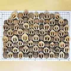 Item thumbnail for item fd2452cb-e20d-4596-871d-64d09505bfc1