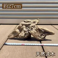 2026年最新】アク抜き済流木の人気アイテム - メルカリ