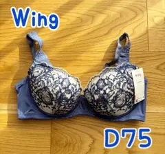 Item thumbnail for item 87cf6988-d09f-44b7-a32c-65799bcd433a