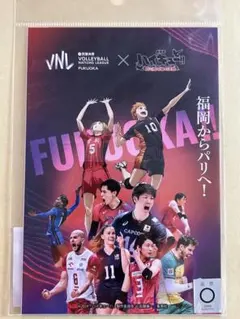 VNL×ハイキューコラボポスカ2枚セット