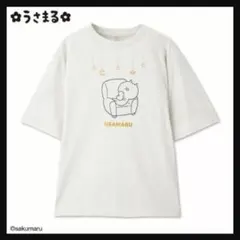 Item thumbnail for item f9c96ab6-6a0f-4c14-b86d-7cc8e6db178e