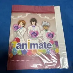 KING OF PRISM キンプリ アニメイト ポイント景品 缶バッジフォルダ