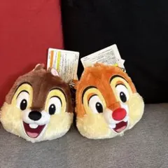 タグ付き！　チップとデール　パスケース　ポシェット