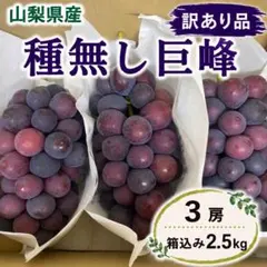 山梨県産ぶどう⭐️巨峰⭐️家庭用 7房入り箱込み約5.3キロ - メルカリ
