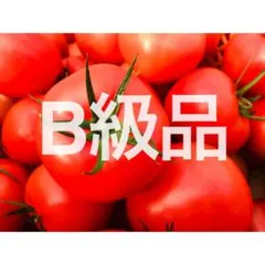 熊本県産 大玉トマト 王様トマト B級品