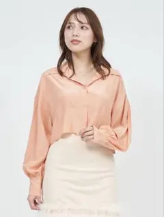 【新品タグ付き】 ROYAL PARTY シアーショートブラウスのサムネイル