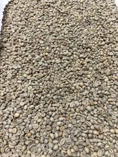 スペシャルティコーヒー生豆 コロンビア パシオン デ・ラ シエラ 2kg スペシャルティコーヒー生豆 コロンビア パシオン デ・ラ シエラ 2kg