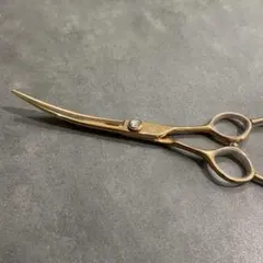 Item thumbnail for item bab43cf6-f149-4bc1-b2e0-e4f37d183e54