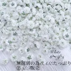かのん様専用ページ