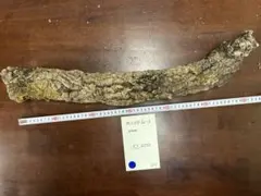m.b.f.k様 リクエスト 7点 まとめ商品