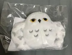 Item thumbnail for item ab080986-e543-4b83-90d4-42c9c7aa44d7