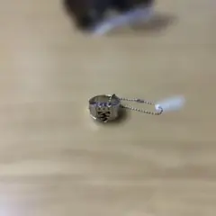 リボーン　ボンゴレリング　霧