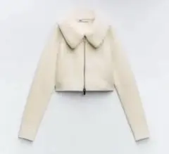 ZARA フェイクファーカラーニット