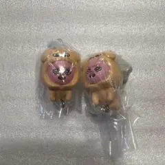 SKZOO つまんでつなげてますこっと 2　チャンビン　ガチャ