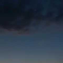 みかん様