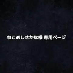 専用ページ