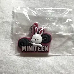 MINITEEN ぷっくりめじるしアクセサリー