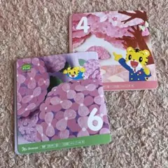 しまじろう　DVD