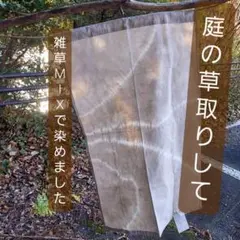 Item thumbnail for item eac68e3a-e2e4-4b6d-ad15-7bd3b97fc1d8