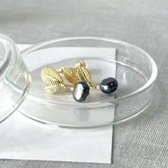 静かな光を添えた、ネイビーパールのリーフピアス