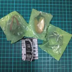 カプセル版 いきもの大図鑑 かぶとむし09　カブトハナムグリ　イエロー