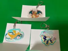 タリーズ　ポケモン　アクキー　カイリュー　テラパゴス　ピカチュウ　リザードン