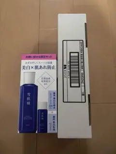 雪肌精ブライトニング エッセンスローション 限定キットNumber_i ポスターのサムネイル
