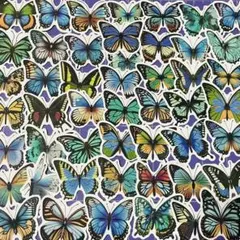 蝶ステッカー50枚セット 綺麗かわいいかっこいいまとめ売りシール帳交換日記等