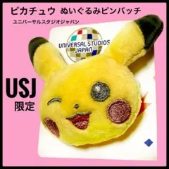 ピカチュウぬいぐるみピンバッチUSJユニバーサルスタジオジャパン任天堂ポケモン