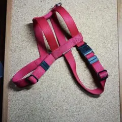 Item thumbnail for item 95203e98-d881-4e7b-89cf-a57df0ceb9b5