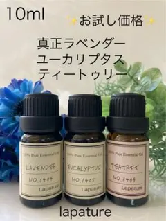 ✨真正ラベンダー＆ユーカリプタス&ティートゥリー感染対策・空気清浄UPのサムネイル