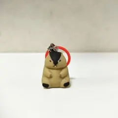 マーモットのもっとっと ここだよますこっと 　　　　　【シープラ限定】
