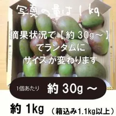 青/黄1-1】 グリーンマンゴー 青マンゴー 摘果マンゴー 約1 kg - メルカリ