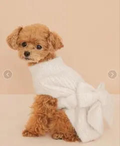 gelatopique ジェラピケ　【CAT&DOG】リボンプルオーバー　犬服