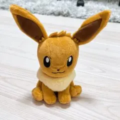 ポケモンfit キャラクターグッズ