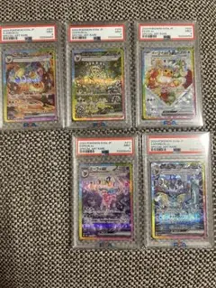 テラスタルフェス　ブイズPSA5枚セット